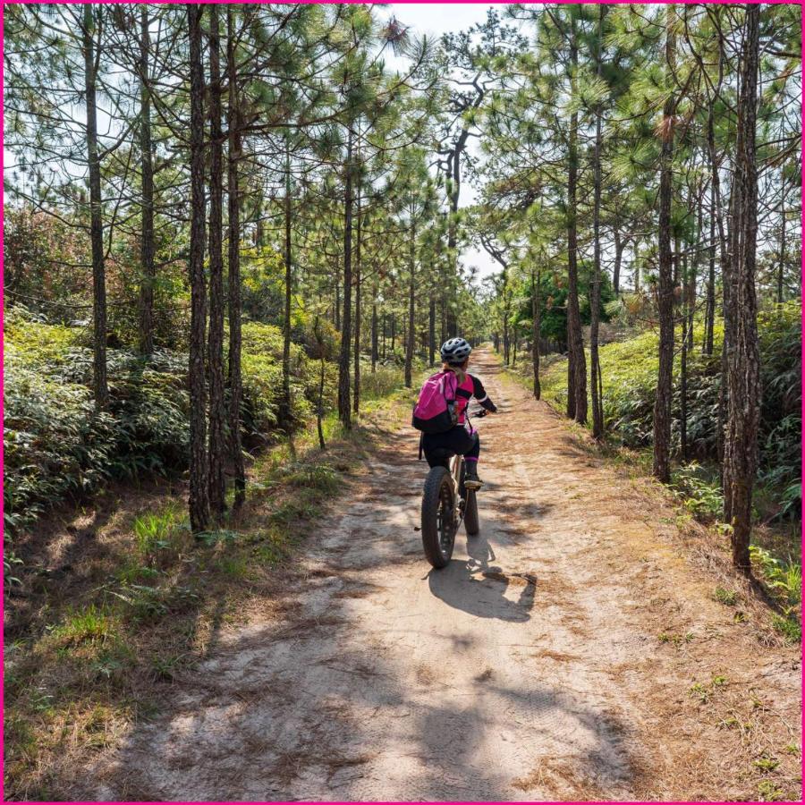 Mobilhome 2Ch Climatise-Terrasse Fermee-4 Velos-Camping 4 Etoiles Les Charmettes Les Mathes Eksteriør bilde